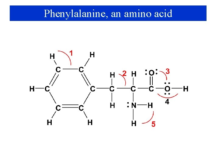 Phenylalanine, an amino acid 