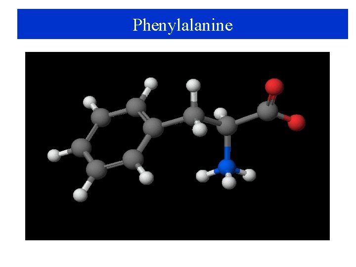 Phenylalanine 