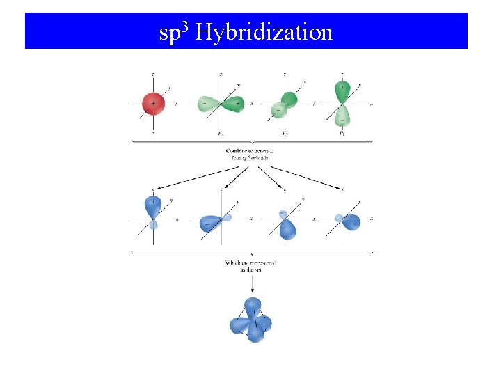 sp 3 Hybridization 