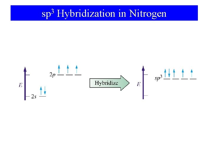 sp 3 Hybridization in Nitrogen 