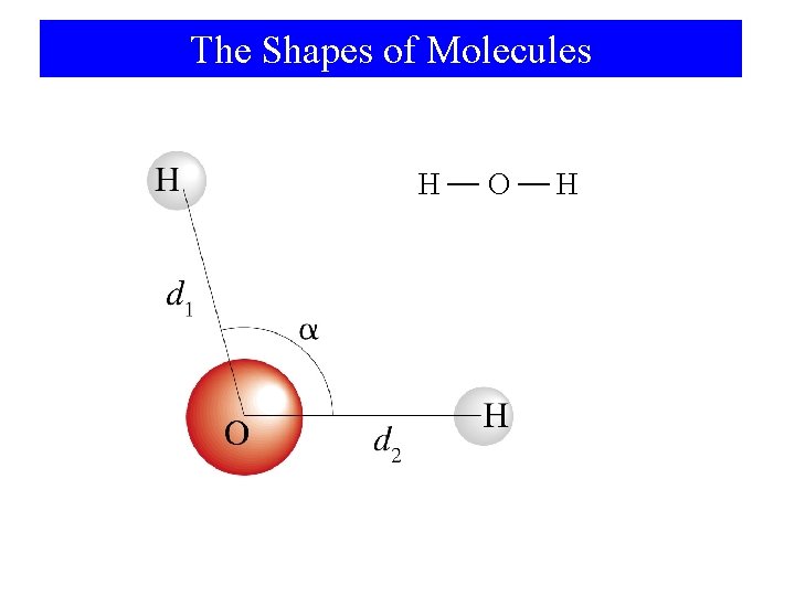The Shapes of Molecules H O H 