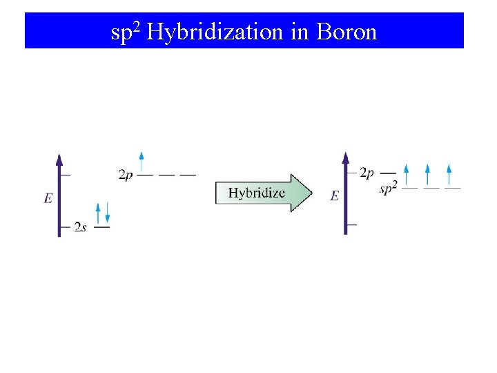 sp 2 Hybridization in Boron 