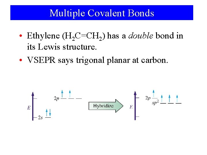 Multiple Covalent Bonds • Ethylene (H 2 C=CH 2) has a double bond in