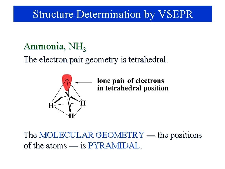 Structure Determination by VSEPR Ammonia, NH 3 The electron pair geometry is tetrahedral. The