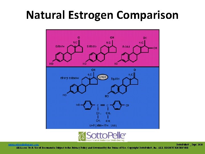 Natural Estrogen Comparison www. sottopelletherapy. com Sotto. Pelle® _ Sept. 2020 All Access To