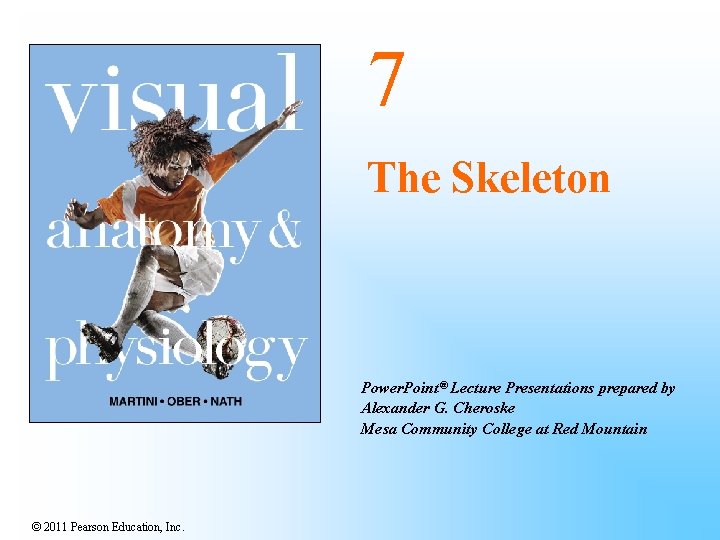 7 The Skeleton Power. Point® Lecture Presentations prepared by Alexander G. Cheroske Mesa Community
