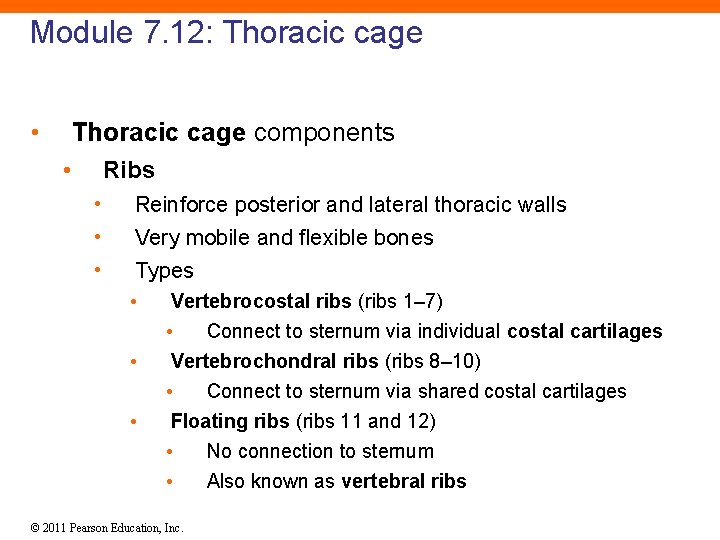 Module 7. 12: Thoracic cage • Thoracic cage components • Ribs • • •