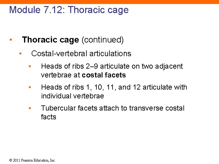 Module 7. 12: Thoracic cage • Thoracic cage (continued) • Costal-vertebral articulations • Heads