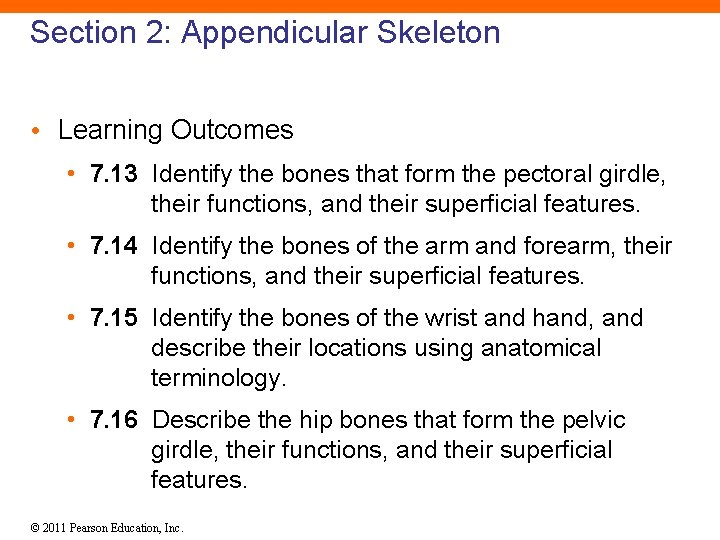 Section 2: Appendicular Skeleton • Learning Outcomes • 7. 13 Identify the bones that