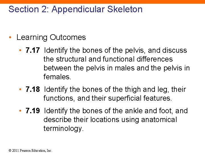 Section 2: Appendicular Skeleton • Learning Outcomes • 7. 17 Identify the bones of