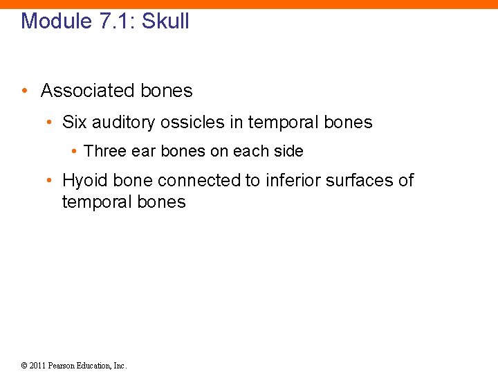 Module 7. 1: Skull • Associated bones • Six auditory ossicles in temporal bones