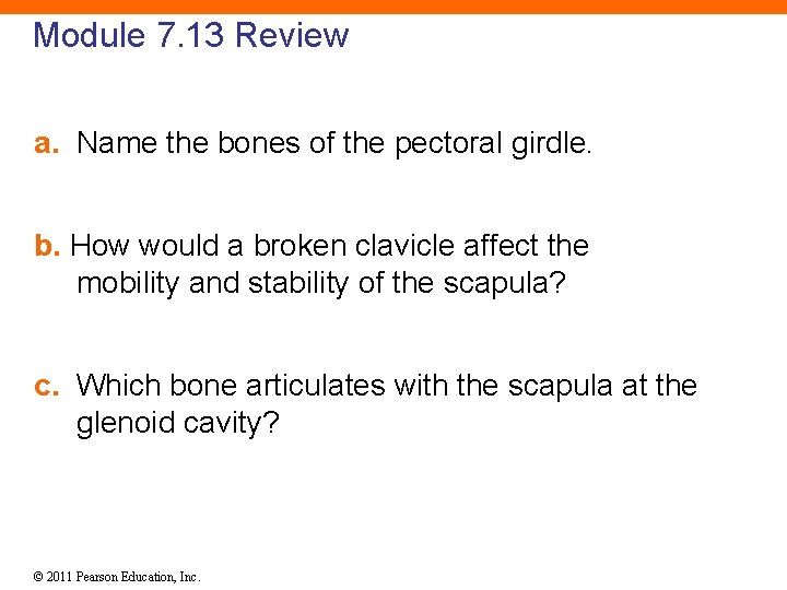 Module 7. 13 Review a. Name the bones of the pectoral girdle. b. How