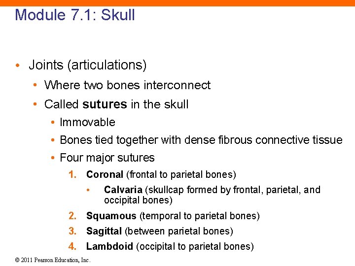 Module 7. 1: Skull • Joints (articulations) • Where two bones interconnect • Called