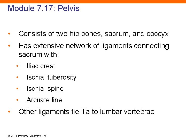 Module 7. 17: Pelvis • Consists of two hip bones, sacrum, and coccyx •