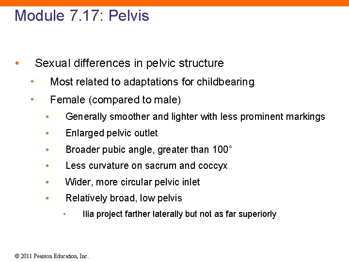 Module 7. 17: Pelvis • Sexual differences in pelvic structure • Most related to