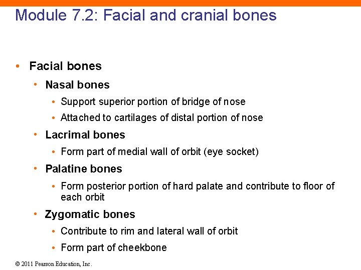 Module 7. 2: Facial and cranial bones • Facial bones • Nasal bones •