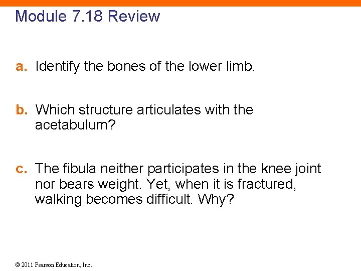 Module 7. 18 Review a. Identify the bones of the lower limb. b. Which