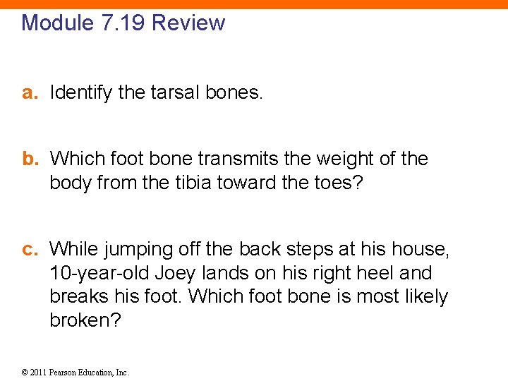 Module 7. 19 Review a. Identify the tarsal bones. b. Which foot bone transmits