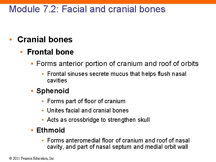 Module 7. 2: Facial and cranial bones • Cranial bones • Frontal bone •