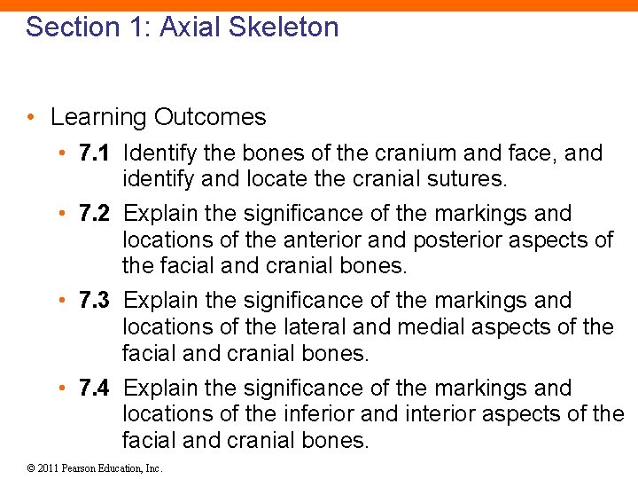 Section 1: Axial Skeleton • Learning Outcomes • 7. 1 Identify the bones of