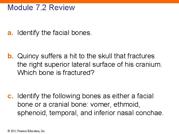 Module 7. 2 Review a. Identify the facial bones. b. Quincy suffers a hit