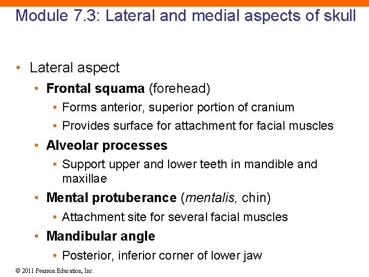 Module 7. 3: Lateral and medial aspects of skull • Lateral aspect • Frontal