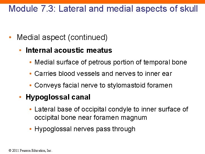 Module 7. 3: Lateral and medial aspects of skull • Medial aspect (continued) •