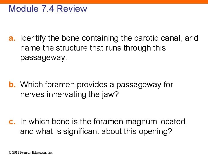 Module 7. 4 Review a. Identify the bone containing the carotid canal, and name
