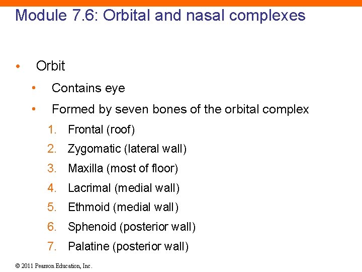 Module 7. 6: Orbital and nasal complexes • Orbit • Contains eye • Formed