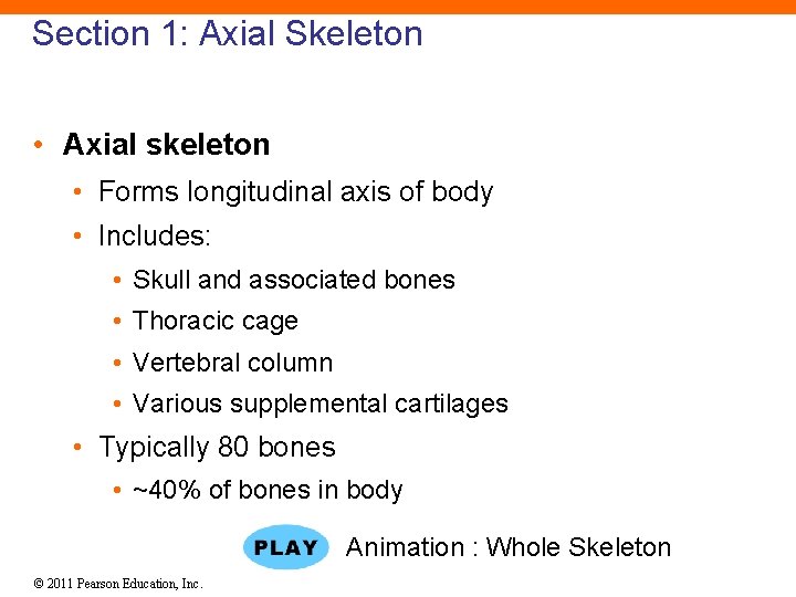 Section 1: Axial Skeleton • Axial skeleton • Forms longitudinal axis of body •