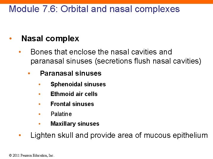Module 7. 6: Orbital and nasal complexes • Nasal complex • Bones that enclose