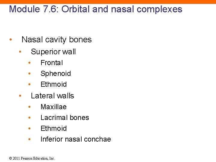 Module 7. 6: Orbital and nasal complexes • Nasal cavity bones • Superior wall