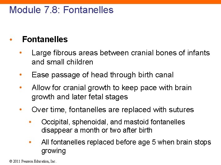 Module 7. 8: Fontanelles • Large fibrous areas between cranial bones of infants and