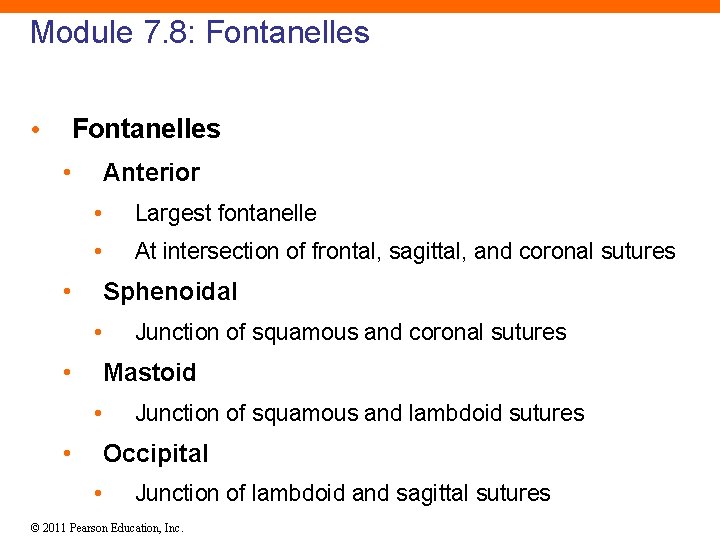 Module 7. 8: Fontanelles • Anterior • Largest fontanelle • At intersection of frontal,