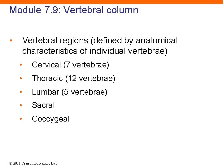 Module 7. 9: Vertebral column • Vertebral regions (defined by anatomical characteristics of individual