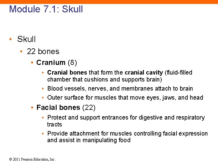 Module 7. 1: Skull • 22 bones • Cranium (8) • Cranial bones that