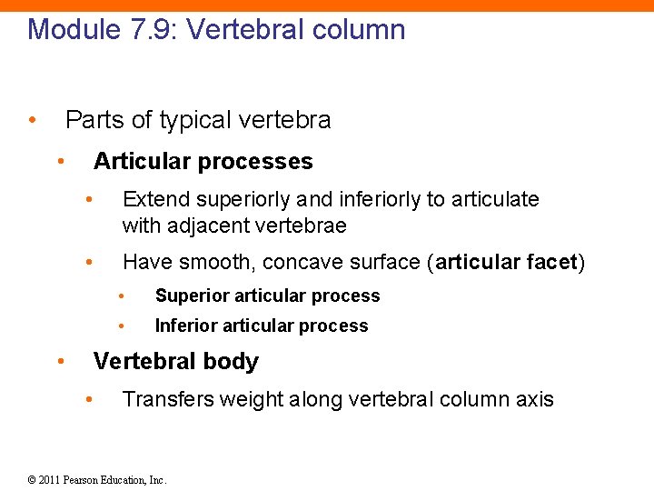 Module 7. 9: Vertebral column • Parts of typical vertebra • Articular processes •