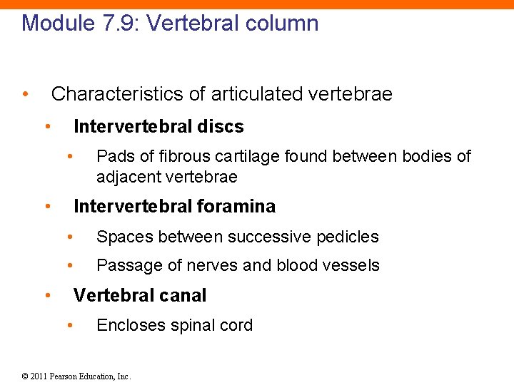 Module 7. 9: Vertebral column • Characteristics of articulated vertebrae • Intervertebral discs •