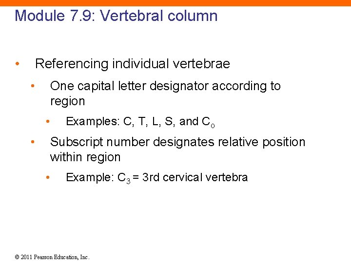 Module 7. 9: Vertebral column • Referencing individual vertebrae • One capital letter designator