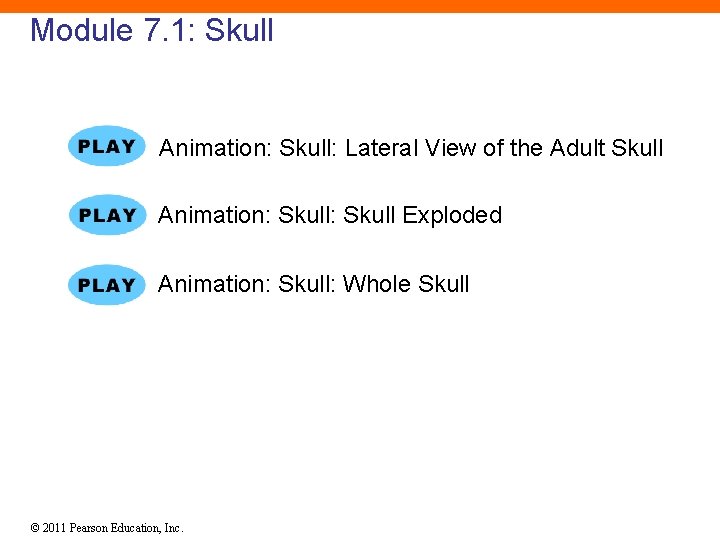 Module 7. 1: Skull Animation: Skull: Lateral View of the Adult Skull Animation: Skull