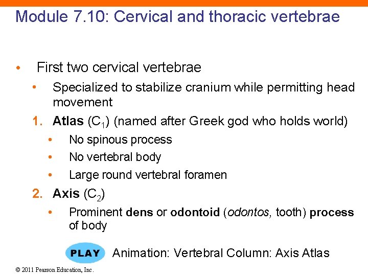 Module 7. 10: Cervical and thoracic vertebrae • First two cervical vertebrae • Specialized