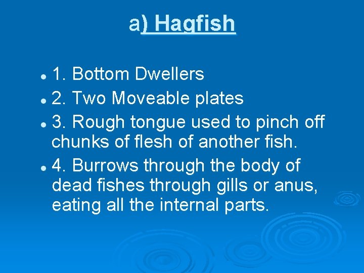 a) Hagfish 1. Bottom Dwellers l 2. Two Moveable plates l 3. Rough tongue