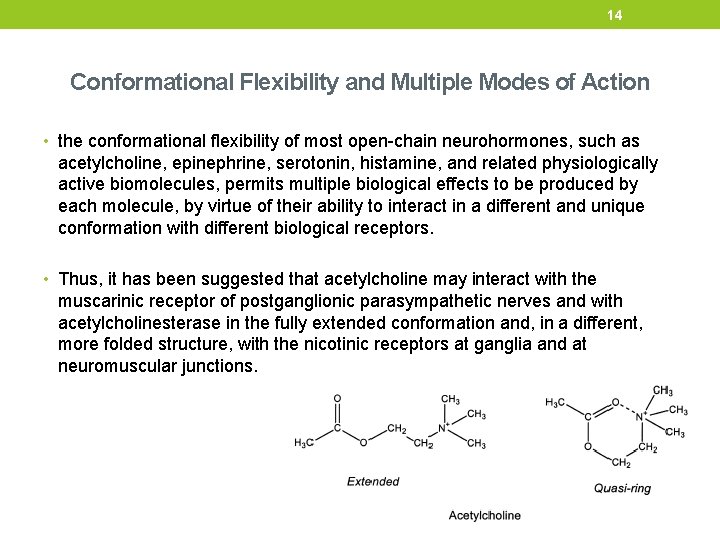 14 Conformational Flexibility and Multiple Modes of Action • the conformational flexibility of most