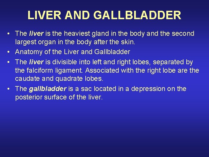 LIVER AND GALLBLADDER • The liver is the heaviest gland in the body and