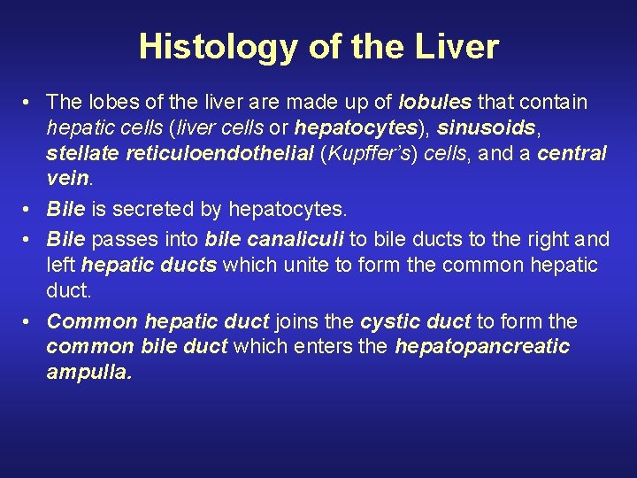 Histology of the Liver • The lobes of the liver are made up of
