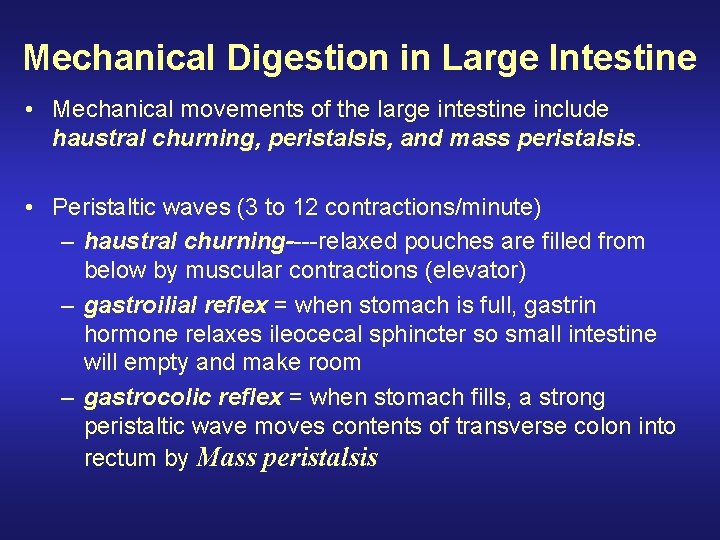 Mechanical Digestion in Large Intestine • Mechanical movements of the large intestine include haustral