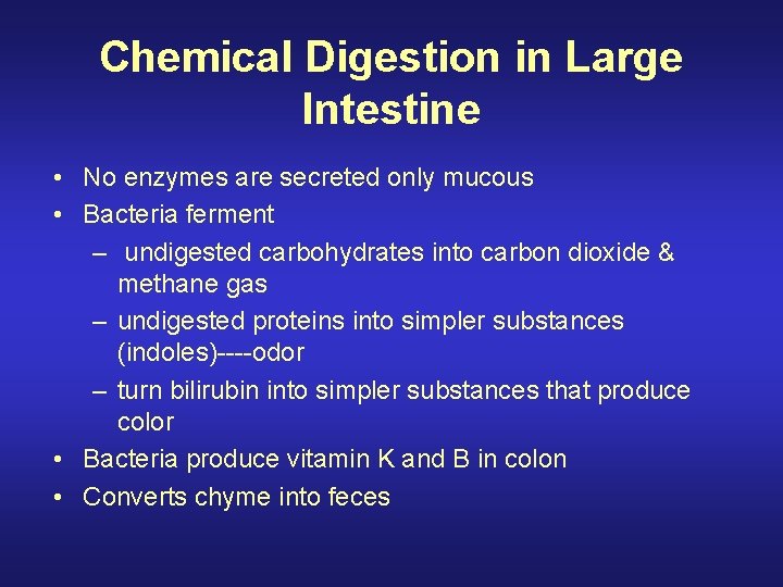 Chemical Digestion in Large Intestine • No enzymes are secreted only mucous • Bacteria