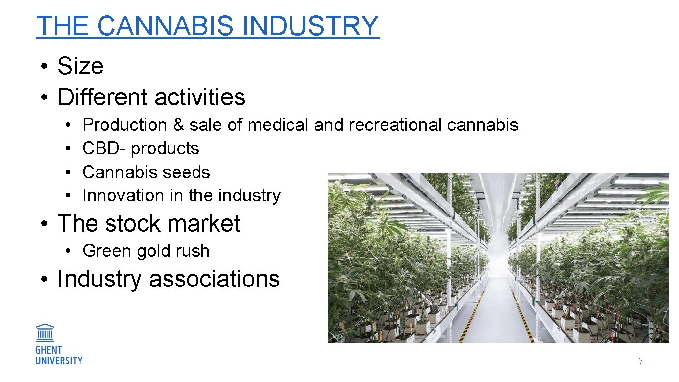 THE CANNABIS INDUSTRY • Size • Different activities • • Production & sale of