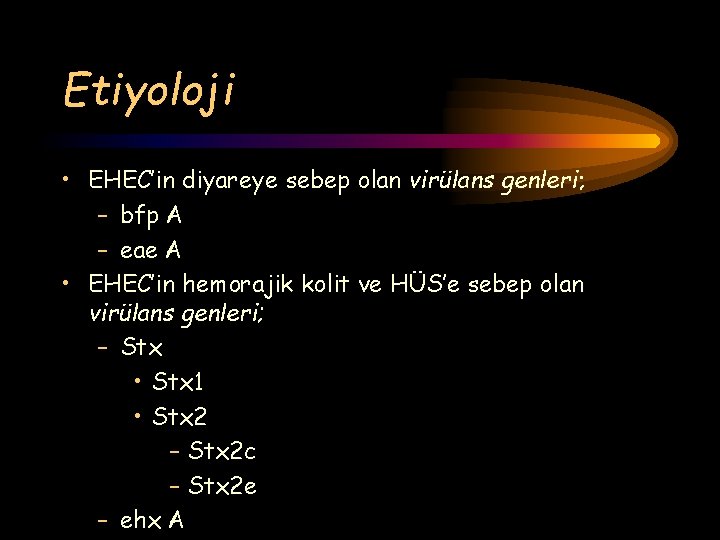 Etiyoloji • EHEC’in diyareye sebep olan virülans genleri; – bfp A – eae A