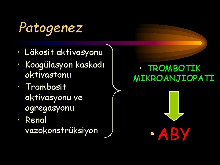 Patogenez • Lökosit aktivasyonu • Koagülasyon kaskadı aktivastonu • Trombosit aktivasyonu ve agregasyonu •